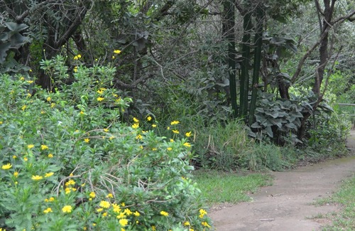 Thorny Bush Game Reserve RV Rental | Discover Amanzimlotzi Riverside Bush Tent in Limpopo