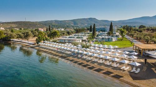 Eretria Hotel | Experience Amaronda Resort & Spa: Oceanfront Bliss in Eretria