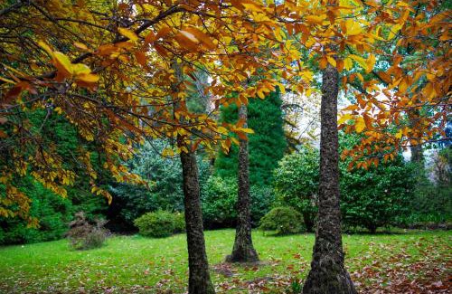 Mount Wilson House | Discover Amaroo Guesthouse: Family-Friendly 4-Star Retreat