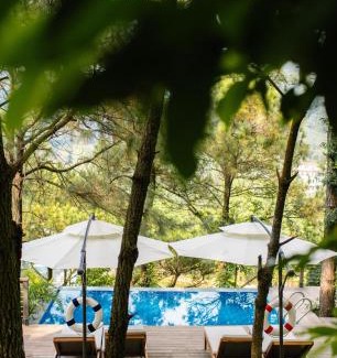 Soc Son Resort | Enchanting Amaya Retreat: Pet-Friendly Haven with Pool