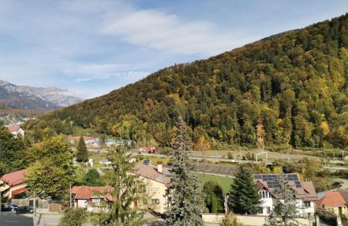 Sinaia Apartment | Top-Rated Brownie by Miro Apartment: Family-Friendly Stay