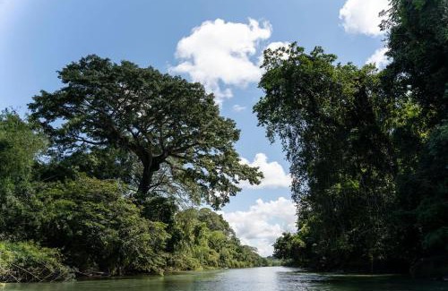 Soacha House | Amazing Cabin RIO LA MIEL