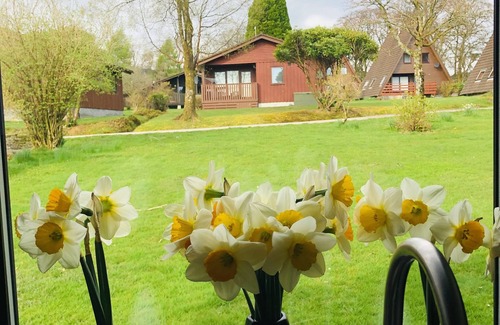 Kilmun Cabin | Unforgettable Loch Views from a Cheerful 2-Bed Cabin