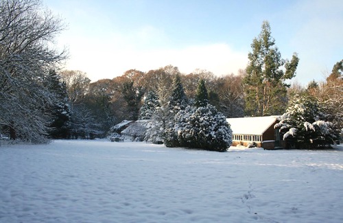 New Forest District Cottage | Discover New Forest Retreat: Perfect for Family Getaways