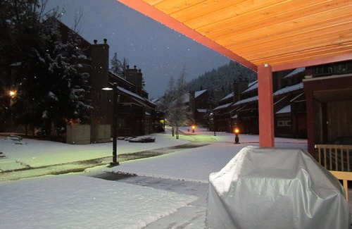 East Kootenay Condo | Unforgettable Ski In/Out 1 Bedroom Retreat in Horsethief