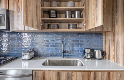 Near West Side Apartment | Stylish West Loop 1BR with Rooftop & Pet-Friendly Perks