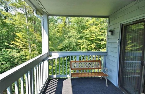 Davis Condo | Budget-Friendly Lodging with Breakfast in Canaan Valley
