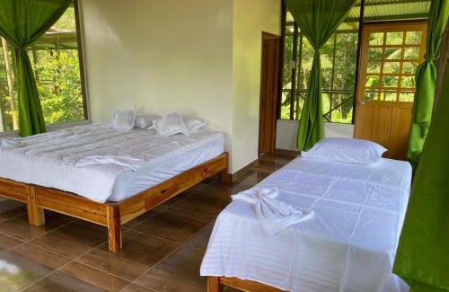 Leticia Hotel | Experience Amazon Açaí Lodge: Family-Friendly Retreat