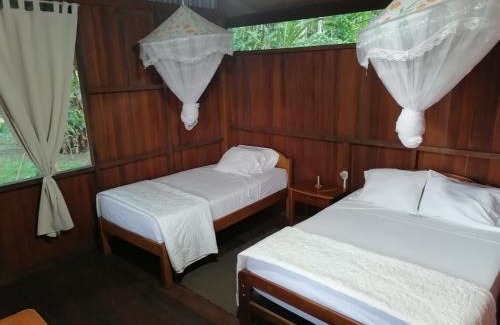 Tambopata Resort | Experience Oceanfront Bliss at Amazon Planet Hotel