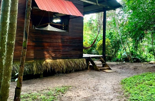 Puerto Maldonado Hotel | amazonian oropendola tambopata