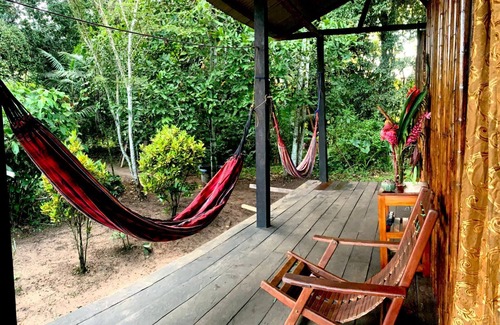 Puerto Maldonado Hotel | amazonian oropendola tambopata