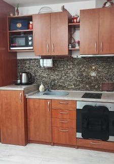 Druskininkai Apartment | Amber Apartament