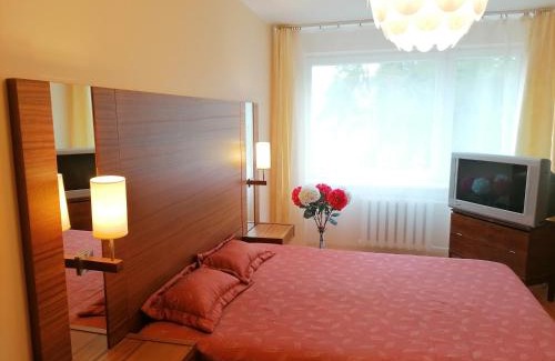 Druskininkai Apartment | Amber Apartamentai: Guest Rated 10/10 with Family Amenities