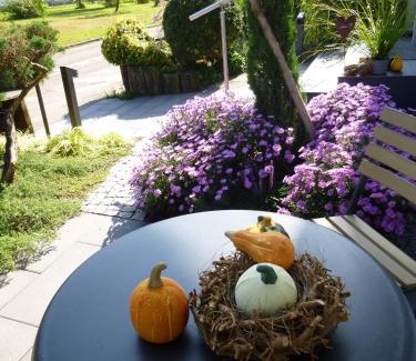Binsenschlauch Apartment | Tranquil Ambiente in Karlsruhe City with Spa & Hot Tub