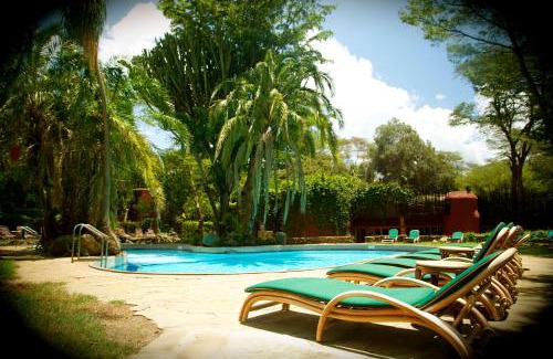 Amboseli Hotel | Explore Amboseli Serena Safari Lodge: 4-Star Oasis Awaits