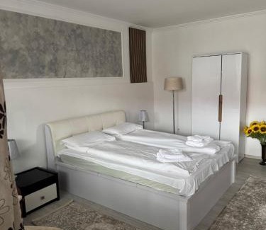 Ocna Mures Apartment | AME Home