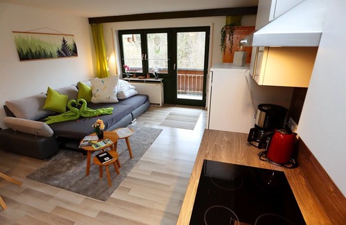 Todtmoos Apartment | Ameisenpfad Todtmoos - Coziness and panorama - My SWH