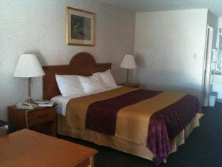 Midlothian Hotel | Pet-Friendly Getaway at Americas Best Value Inn Midlothian