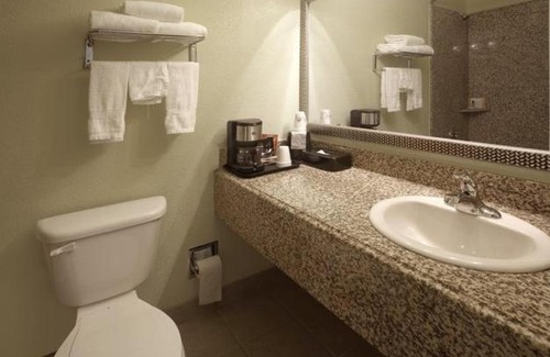 Waco Hotel | Pet-Friendly Stay at Americas Best Value Inn Waco