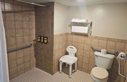 Birch Run Hotel | Comfortable Stay at Best Western Plus Birch Run/Frankenmuth