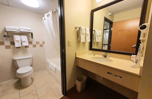 Waconia Hotel | Discover AmeriVu Inn & Suites - Waconia with Pool Access