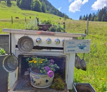 Bad Kohlgrub Apartment | Discover Ammergauer Vier Jahreszeiten: Pet-Friendly Retreat