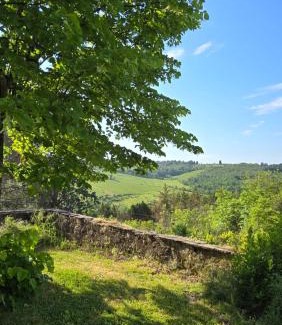 Greve in Chianti House | Amore in Chianti