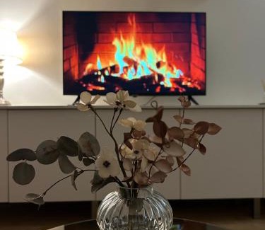 Telsiai Apartment | Top-Rated Apartments in Telšiai, Lithuania - Pet Friendly!