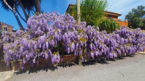 Zona XXXII Acilia Nord House | Ampie camere in villa in zona verde e tranquilla