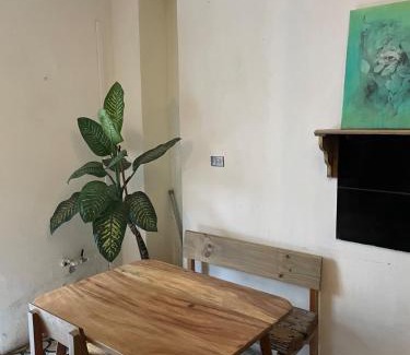 Zona 1 Apartment | Pet Friendly Stay in Historic Center: El Círculo Awaits