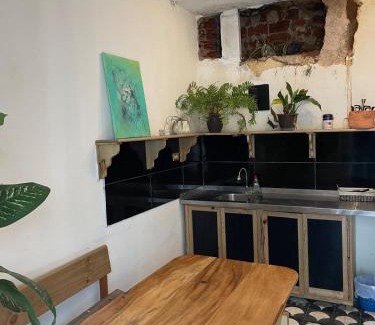 Zona 1 Apartment | Pet Friendly Stay in Historic Center: El Círculo Awaits