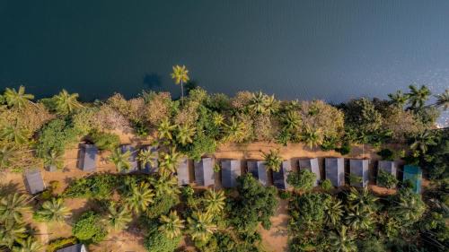 Thattekkad Resort | Experience Amritara Riverside Luxury Tents: 4-Star Comfort