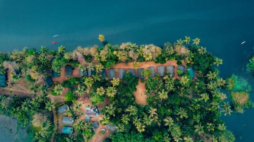 Thattekkad Resort | Experience Amritara Riverside Luxury Tents: 4-Star Comfort