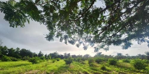Bhuj House | Family-Friendly Amrutiya Farmview Suite for Your Getaway