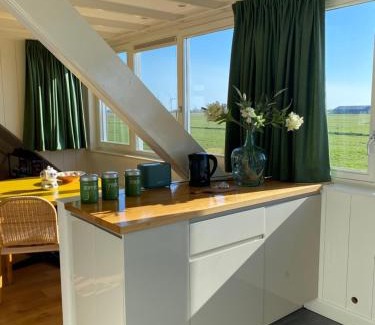 Uitdam Bed & Breakfast | Amsterdam Garden Studio