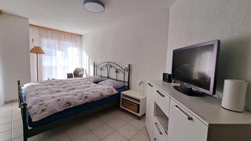 Obergoms Apartment | An der Langlaufloipe - Studio Arnica