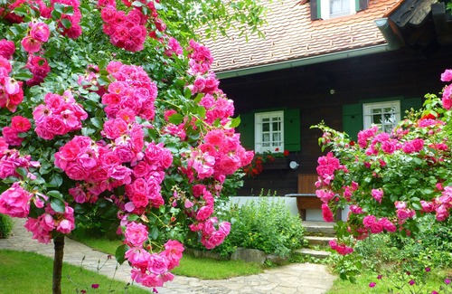 Harrachberg House | Discover an Idyllic Hotel on a Southeast Styrian Hill