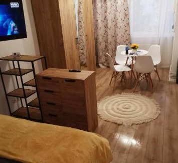 Tirgu Mures Apartment | Pet-Friendly Ana Studio: Guest Rated 9.8 for Families