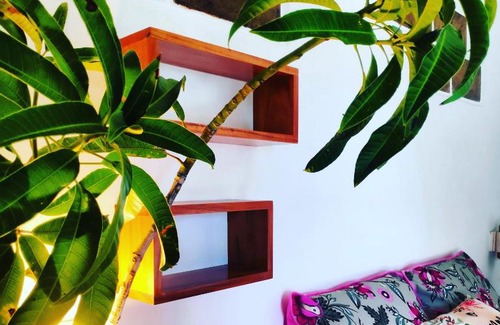 Aracati House | Experience Anacardium: Poolside Bliss with Ocean Views