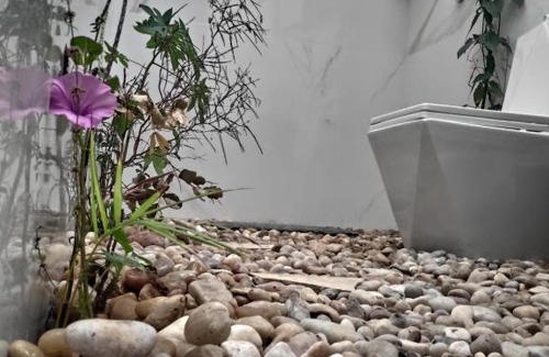 Aracati House | Experience Anacardium: Poolside Bliss with Ocean Views