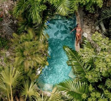 Leona Vicario Cabin | Discover ANAND Ecoaldea: Oceanfront Poolside Paradise