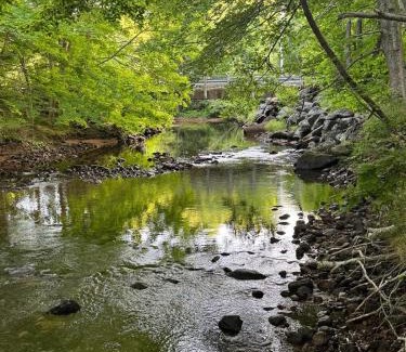 Pleasant Bay Apartment | Ananda - Enchanted Forest Hideaway