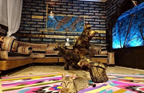 Wadi Musa House | Family-Friendly Retreat: Anas House Basic Triple Room