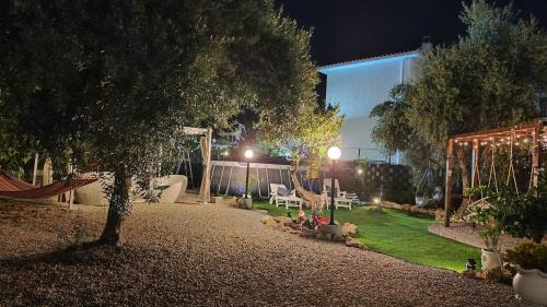 Trabia Apartment | Discover Anastasia's House: Oceanfront Pet-Friendly Retreat