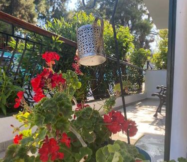 Sithonia Apartment | Exceptional Accommodation at Anastasias House - Child Friendly