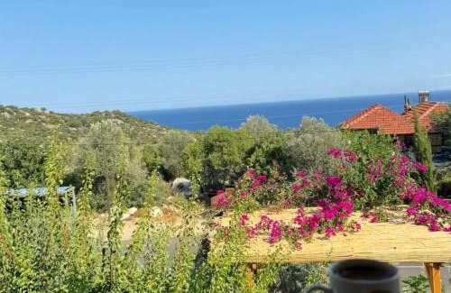 Kapakli Bed & Breakfast | Anatolia taş ev apart simena