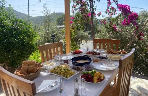 Kapakli Bed & Breakfast | Anatolia taş ev apart simena