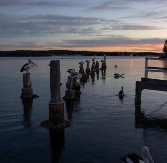 Greenwell Point Hotel | Accessible Family Retreat at Anchor Bay Motel – Rated 9/10