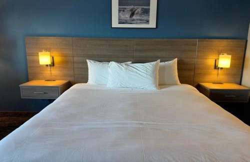 Campbell River Hotel | Ocean View Retreat at Anchor Inn and Suites