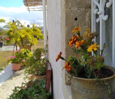 Gortyna Apartment | Discover Ancient Gortyna Home - Top Rated in Mitropolis
